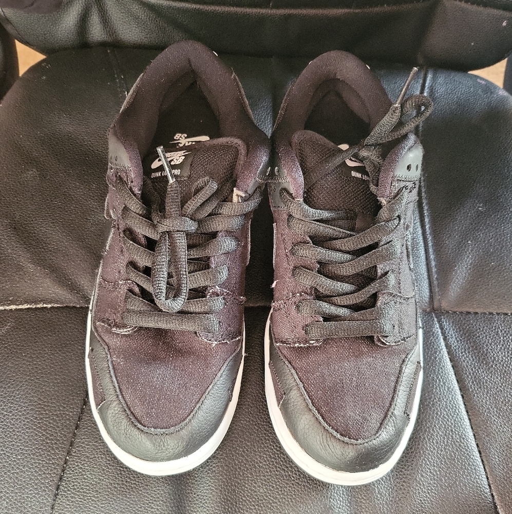 Nike SB Dunks Wasted Youth Size 7 Brand New with Special Box